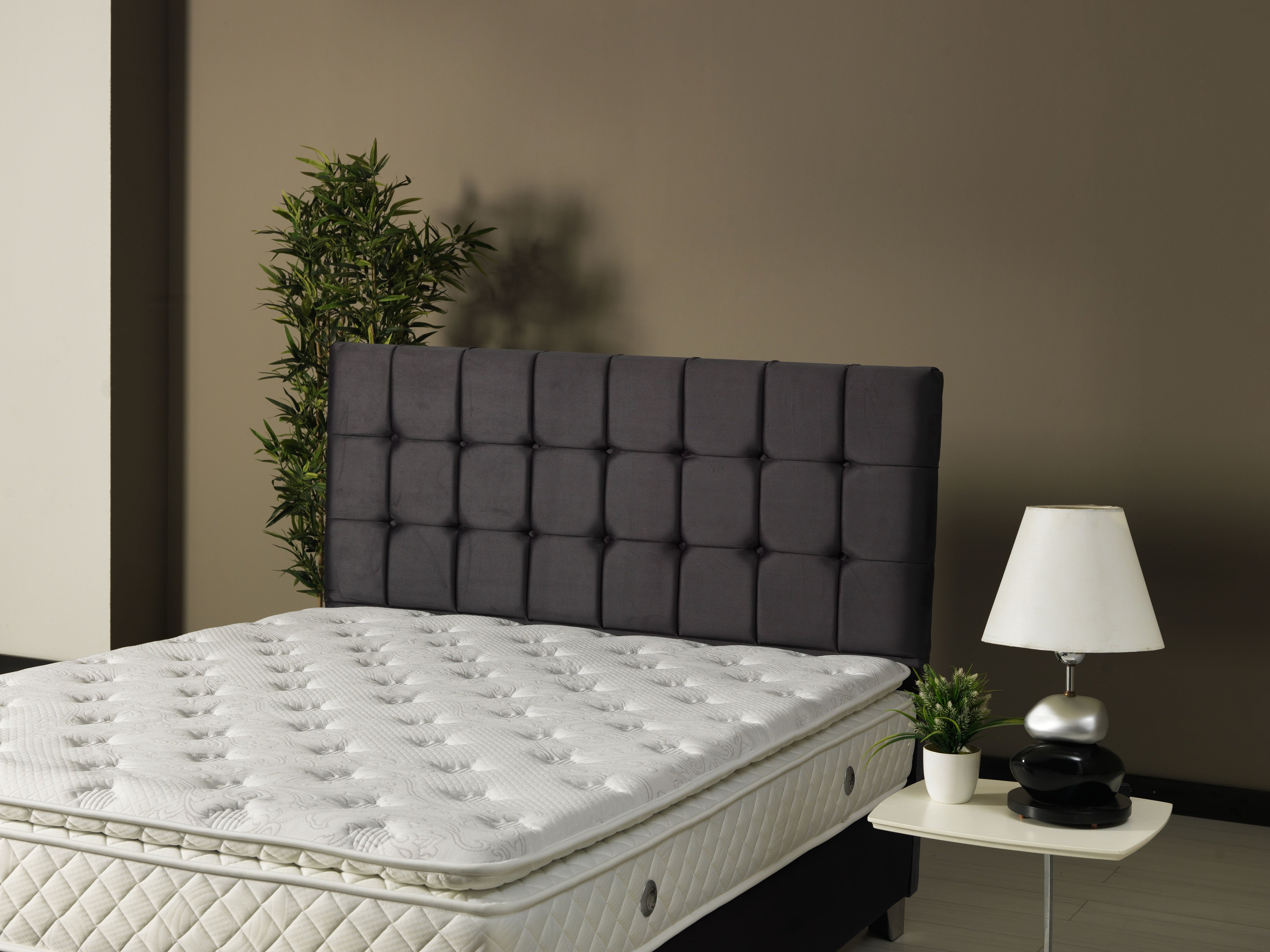 Boxspringbett CENOVA